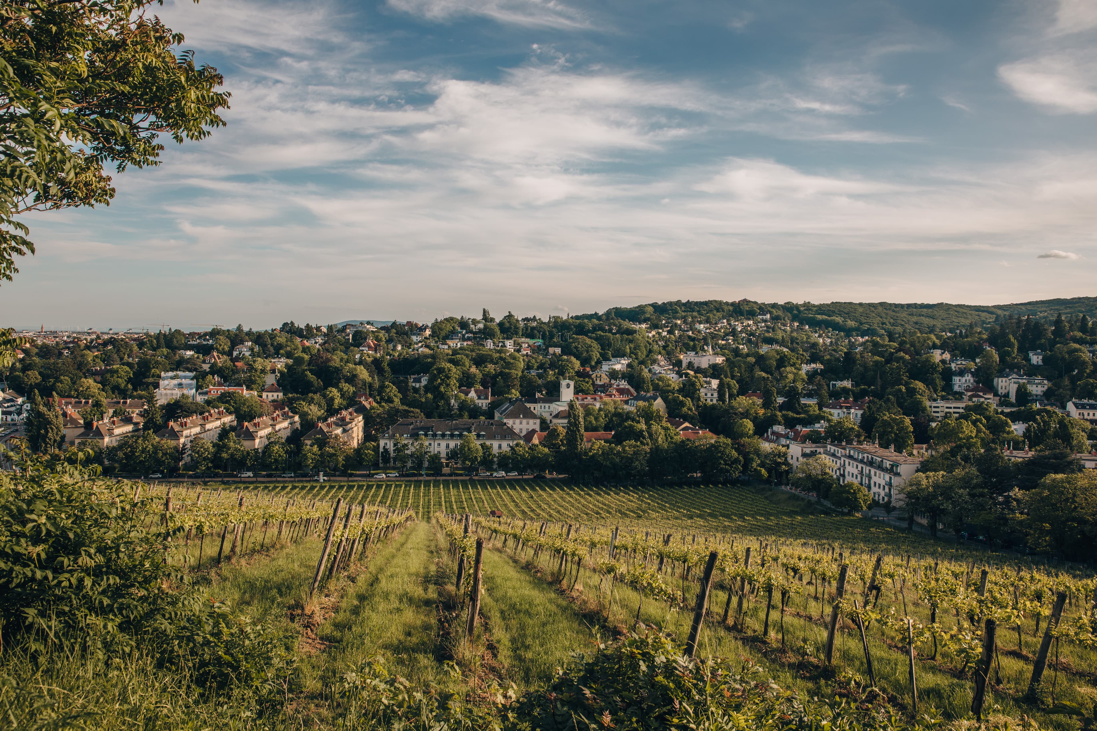 Umgebung Alsgasse
